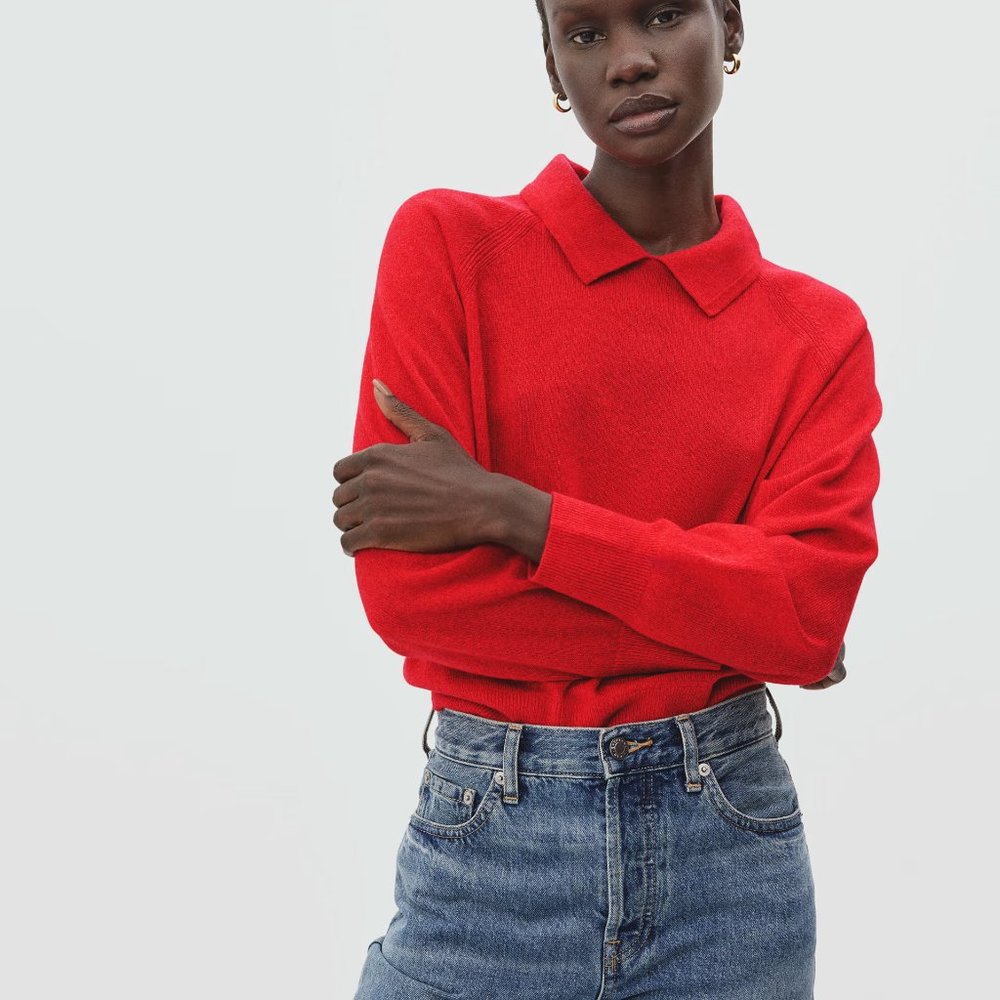 Everlane Cashmere Collared Sweater - Red - Medium